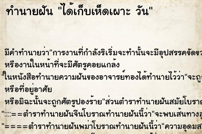 ทำนายฝัน ได้เก็บเห็ดเผาะ วัน ตำราโบราณ แม่นที่สุดในโลก